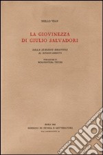 La giovinezza di Giulio Salvadori. Dalla stagione bizantina al rinnovamento libro