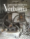 Archeologia industriale di Verbania. Il secolo d'oro dei cotonifici libro