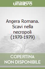 Angera Romana. Scavi nella necropoli (1970-1979) libro