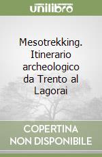 Mesotrekking. Itinerario archeologico da Trento al Lagorai libro