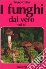 I funghi dal vero. Vol. 6 libro