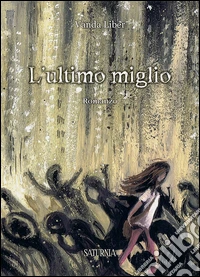 L'ultimo miglio