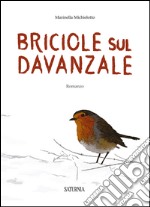 Briciole sul davanzale libro