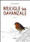 Briciole sul davanzale libro di Michielotto Marinella