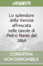 Lo splendore della Verona affrescata nelle tavole di Pietro Nanin del 1864 libro