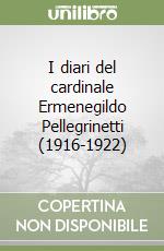 I diari del cardinale Ermenegildo Pellegrinetti (1916-1922) libro