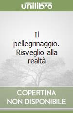 Il pellegrinaggio. Risveglio alla realtà libro