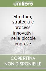 Struttura, strategia e processi innovativi nelle piccole imprese libro