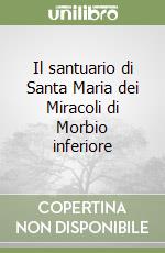 Il santuario di Santa Maria dei Miracoli di Morbio inferiore libro