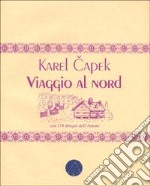 Viaggio al nord libro