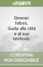 Itinerari feltrini. Guida alla città e al suo territorio libro