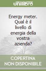 Energy meter. Qual è il livello di energia della vostra azienda? libro