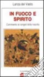 In fuoco e spirito. Commento ai vangeli della nascita libro