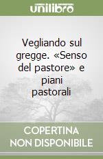 Vegliando sul gregge. «Senso del pastore» e piani pastorali libro