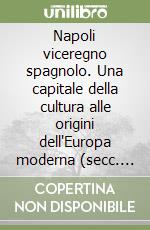 Napoli viceregno spagnolo. Una capitale della cultura alle origini dell'Europa moderna (secc. XVI-XVII). Ediz. italiana, tedesca e spagnola libro