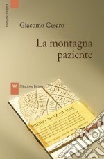 La montagna paziente