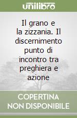 Il grano e la zizzania. Il discernimento punto di incontro tra preghiera e azione