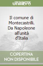 Il comune di Montecastrilli. Da Napoleone all'unità d'Italia libro