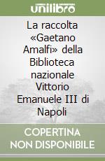 La raccolta «Gaetano Amalfi» della Biblioteca nazionale Vittorio Emanuele III di Napoli libro