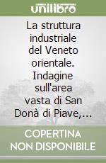 La struttura industriale del Veneto orientale. Indagine sull'area vasta di San Donà di Piave, Portogruaro, Oderzo libro