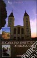 Il cammino profetico di Medjugorje libro