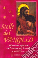 Stelle del vangelo. Riflessioni spirituali sull'essenza del vangelo