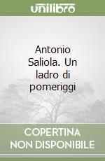 Antonio Saliola. Un ladro di pomeriggi libro