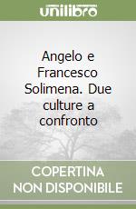 Angelo e Francesco Solimena. Due culture a confronto libro