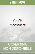 Cos'è Maastricht