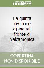 La quinta divisione alpina sul fronte di Valcamonica