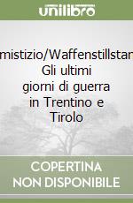 Armistizio/Waffenstillstand. Gli ultimi giorni di guerra in Trentino e Tirolo libro