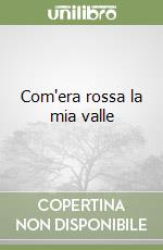 Com'era rossa la mia valle libro