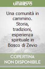 Una comunità in cammino. Storia, tradizioni, esperienza spirituale in Bosco di Zevio libro