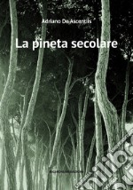 La pineta secolare. La cattedrale arborea di Pineto tra storia e natura