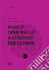 What if open walls? A strategy for Tadmor libro di Albiero Roberta