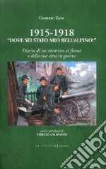 1915-1918. «Dove sei stato mio bell'alpino?» Diario di un mestrino al fronte e della sua città in guerra