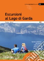 Escursioni al lago di Garda. Sponda lombarda. Alto Garda. Valle di Ledro. Valle del Sarca. Sponda Veneta libro