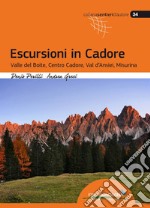 Escursioni in Cadore. Valle del Boite, centro Cadore, Val d'Ansiei, Misurina