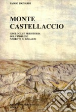 Monte Castellaccio. Geologia e preistoria dell'Imolese narrata ai ragazzi libro