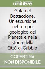 Gola del Bottaccione. Un'escursione nel tempo geologico del Pianeta e nella storia della Città di Gubbio libro