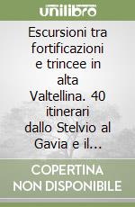 Escursioni tra fortificazioni e trincee in alta Valtellina. 40 itinerari dallo Stelvio al Gavia e il sentiero della pace libro