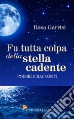 Fu tutta colpa della stella cadente libro