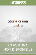 Storia di una pietra libro