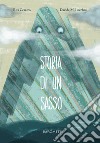 Storia di un sasso libro