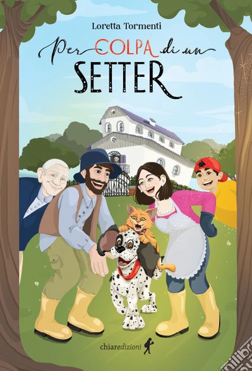Per colpa di un setter