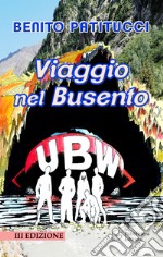 Viaggio nel Busento libro