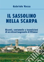 Il sassolino nella scarpa. Ricordi, contumelie e benedizioni di un ultraottuagenario di Villamar libro