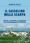 Il sassolino nella scarpa. Ricordi, contumelie e benedizioni di un ultraottuagenario di Villamar libro di Vacca Gabriele