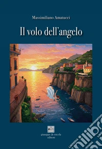 Il volo dell'angelo libro
