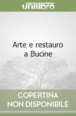 Arte e restauro a Bucine libro